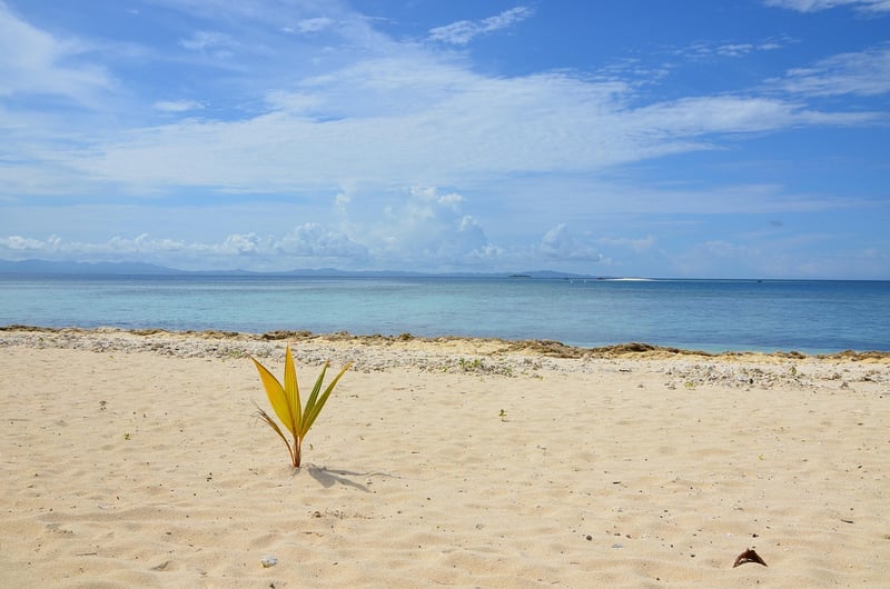 Remote Island